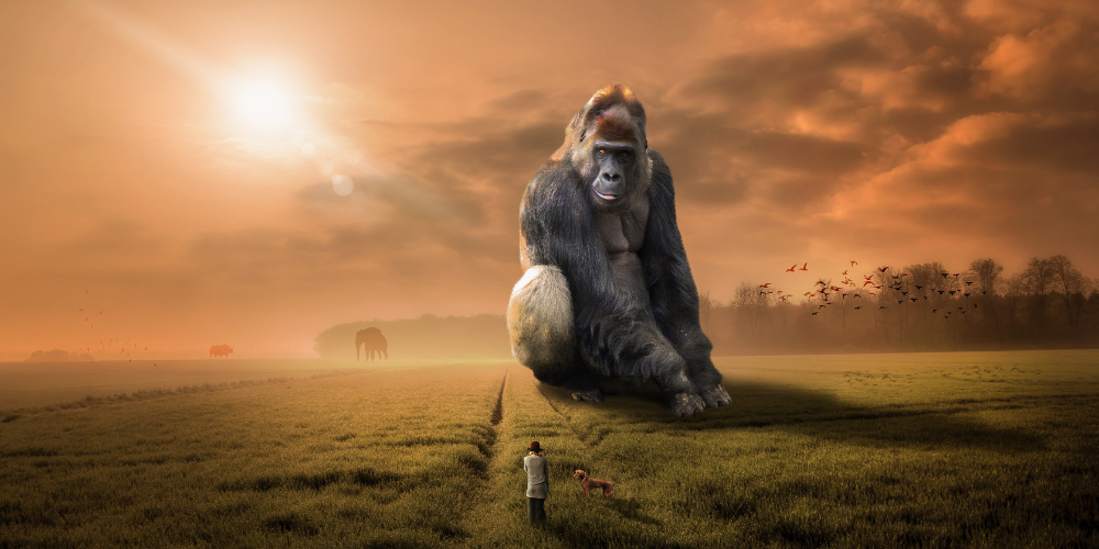 ESL lesson on vocabulary, gorilla communication, and ethical discussions about animal intelligence.