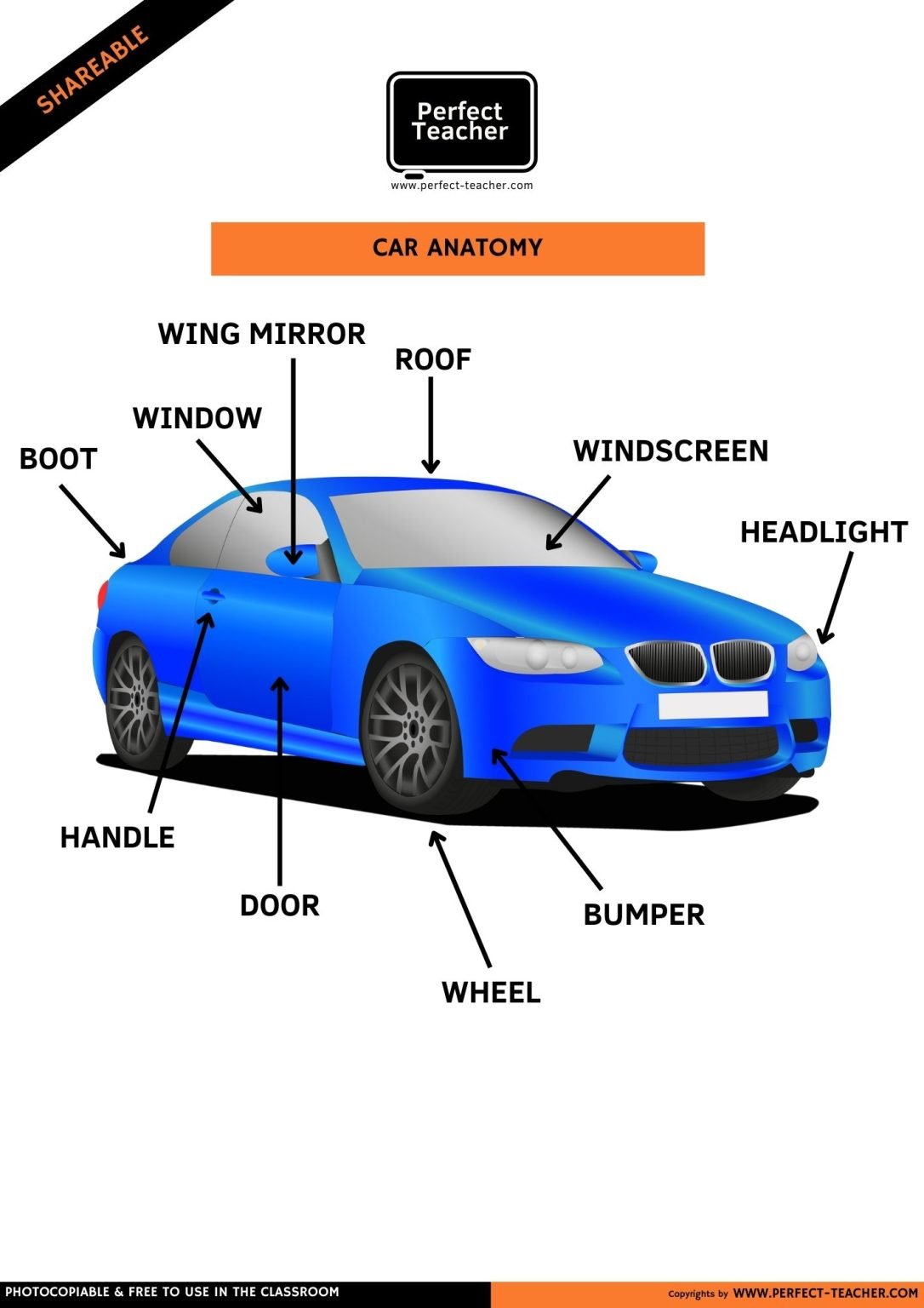 CAR ANATOMY