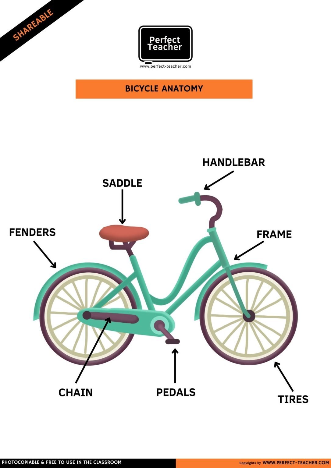 BICYCLE ANATOMY