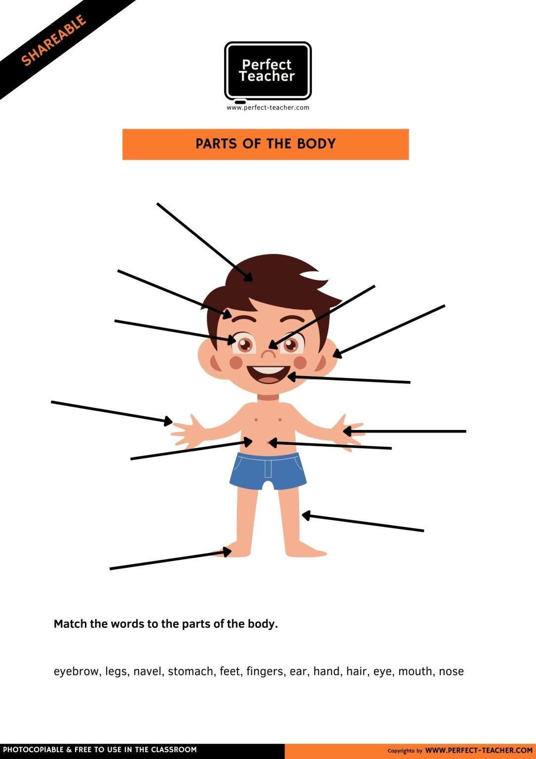 PARTS OF THE BODY