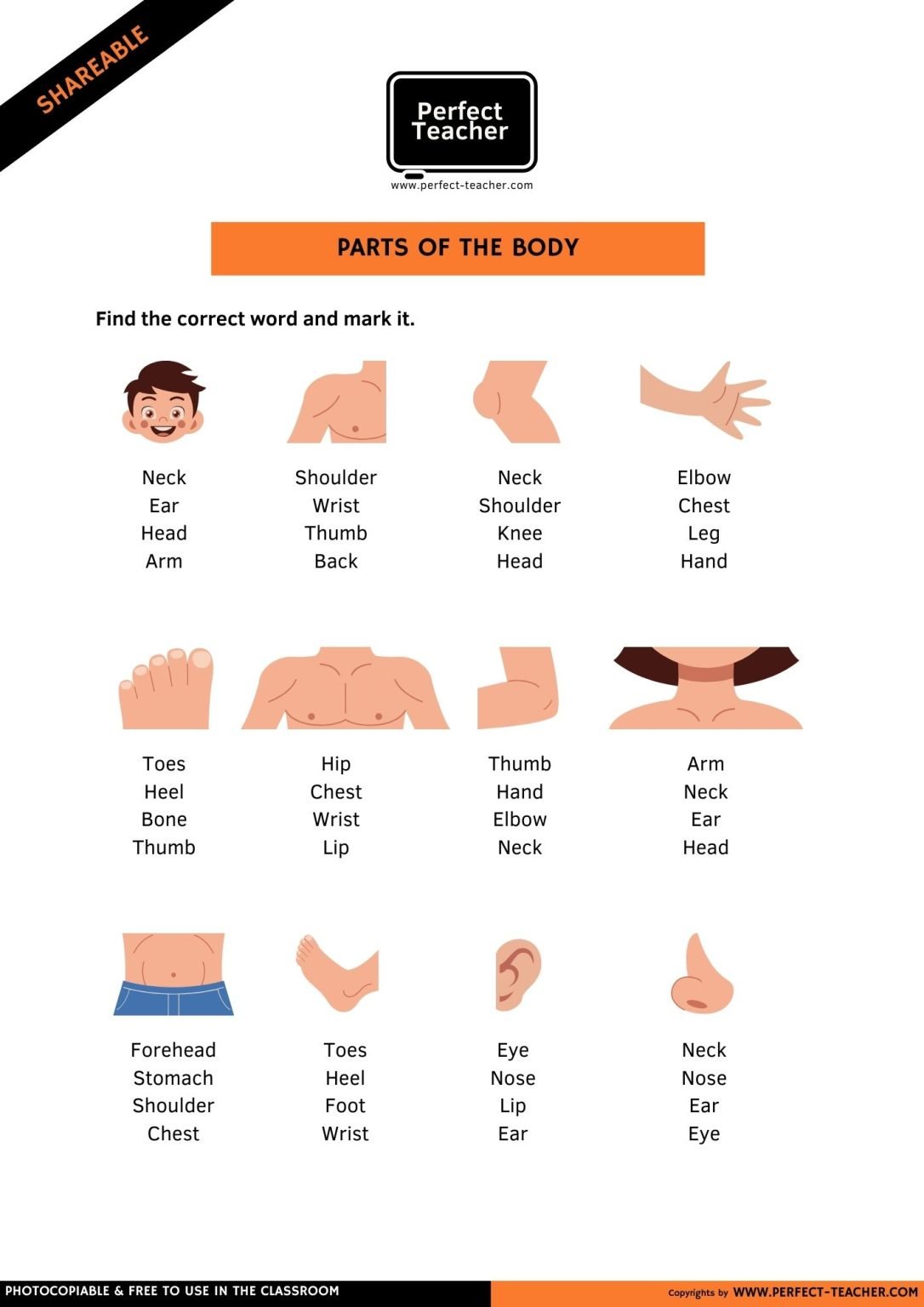 PARTS OF THE BODY