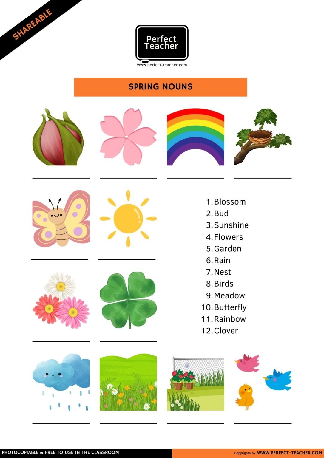 SPRING NOUNS
